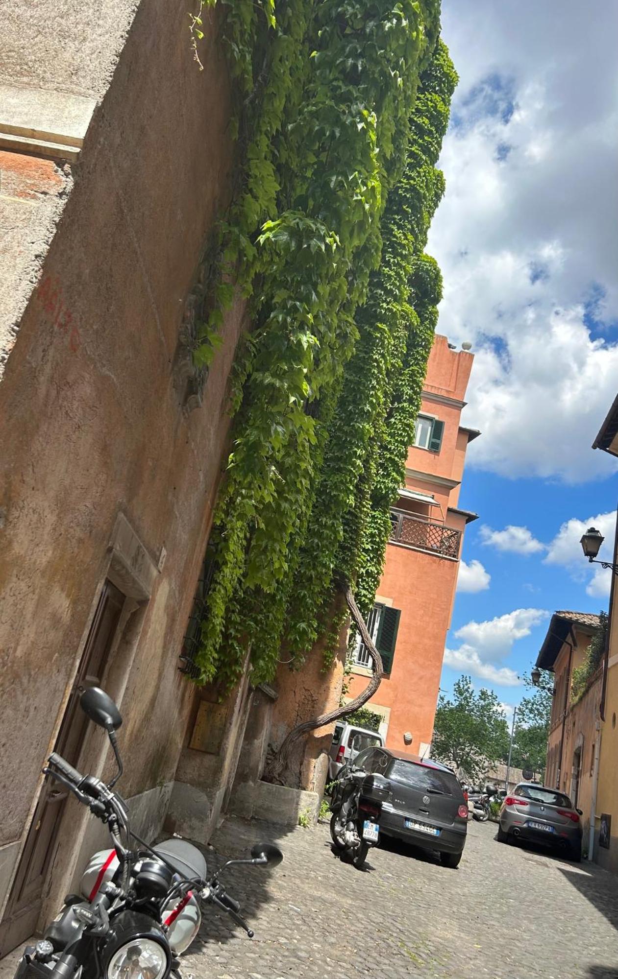 Garden House Trastevere Рим Экстерьер фото