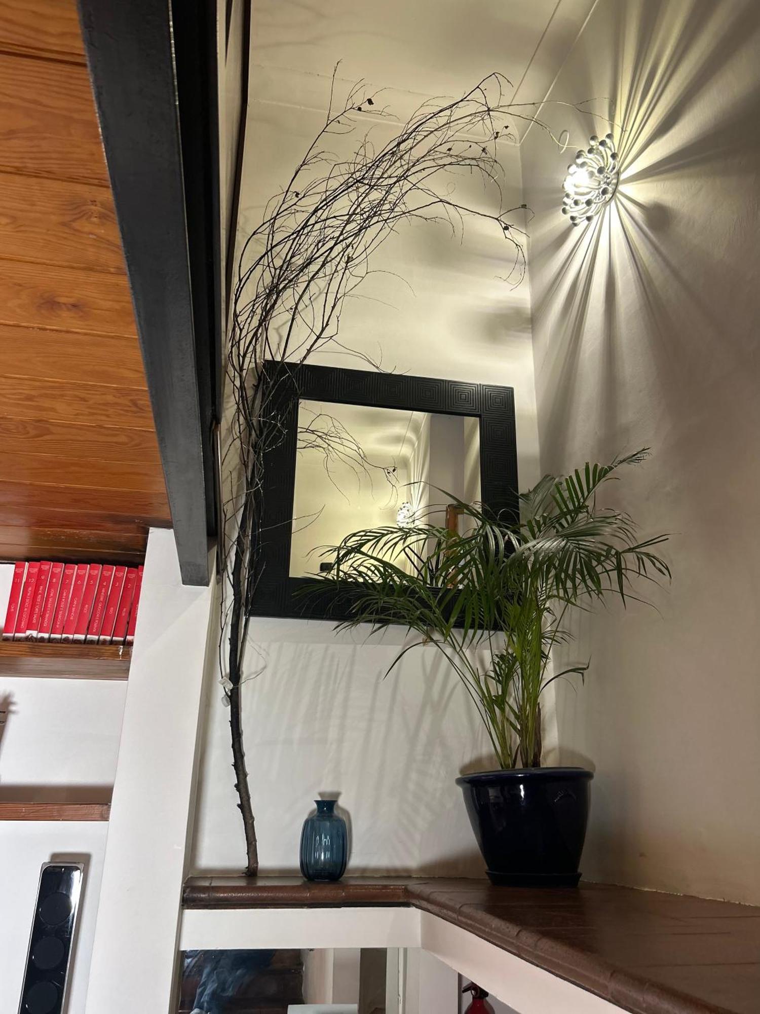 Garden House Trastevere Рим Экстерьер фото